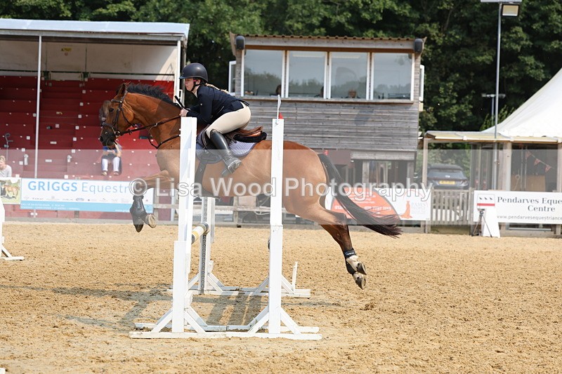 3E7A1422 - Class 4: Senior British Novice/90cm open