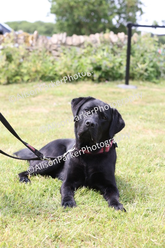 20250607-0011 - Misc