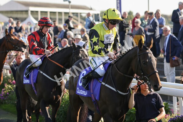 yr08102021r3-10 - Race 3 3.15pm Download The Casumo App Today Handicap