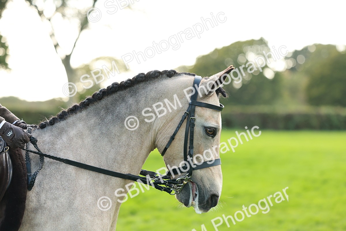 SBM_28832 - S7 - Novice & Newcomer Ridden Pony