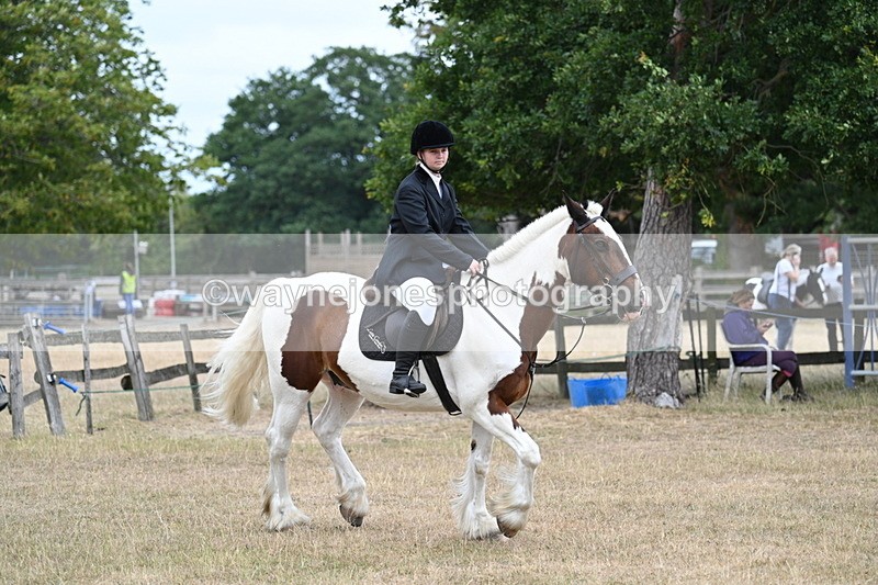 WJ7_1362 - Class 8 Ridden Veterans