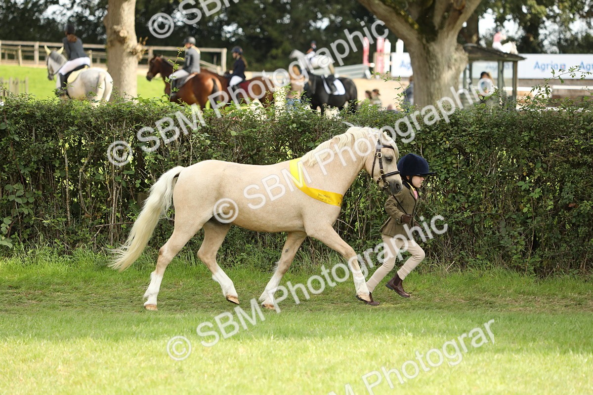 SBM_66277 - In Hand Pony & Youngstock Supreme Championship