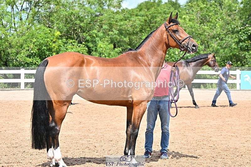 240718A-105307-01580 - Trot Up 1pm to 2pm