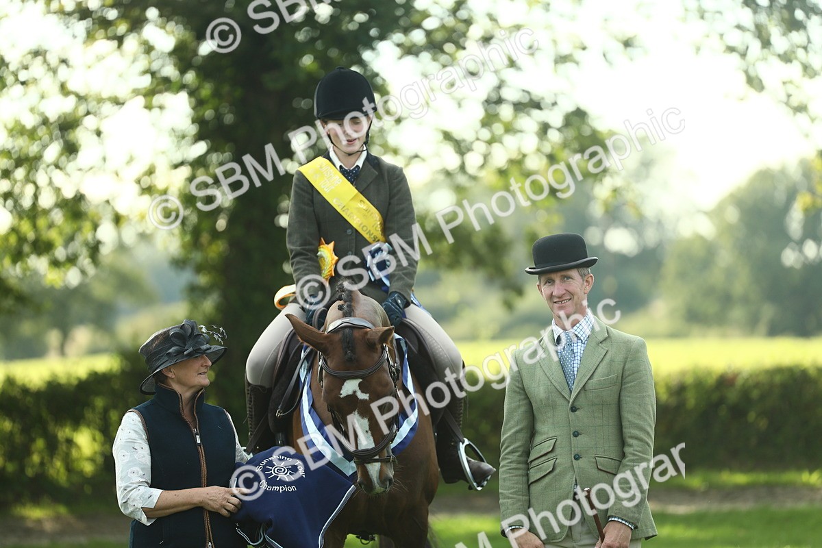 SBM_52313 - Working Hunter Supreme Championship