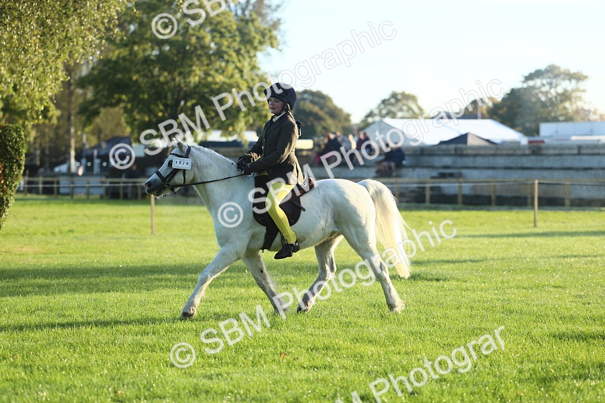 SBM_31763 - S28 - Nursery Stakes Working Hunter Pony