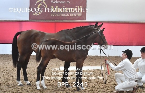 BPP_2245 - AFTERNOON 12.30 - 3.30PM