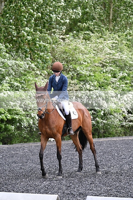 WJ7_1904 - Time 15:05 to 15:27