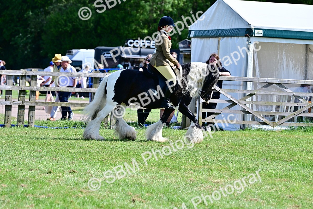 SBM_09303 - Class 63-65 - Traditional Gypsy Cobs In Hand & Ridden
