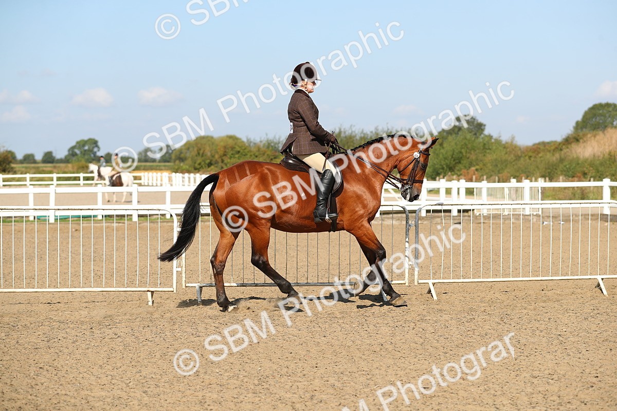 SBM_02233 - Class 43 Ridden Competition Horse/Pony