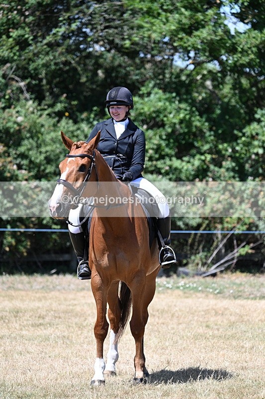 WJ7_3174 - Class 7 Riding Club Show Horse