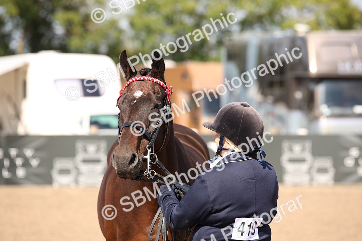 SBM_03043 - Class 17 Prettiest Mare IH or Ridden