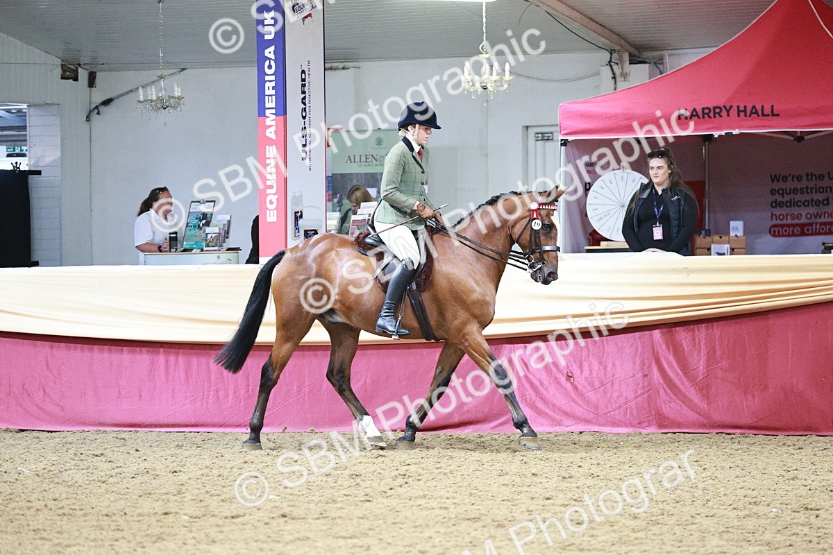 SBM_03533 - Class 6A Area Ridden Pre-Vet