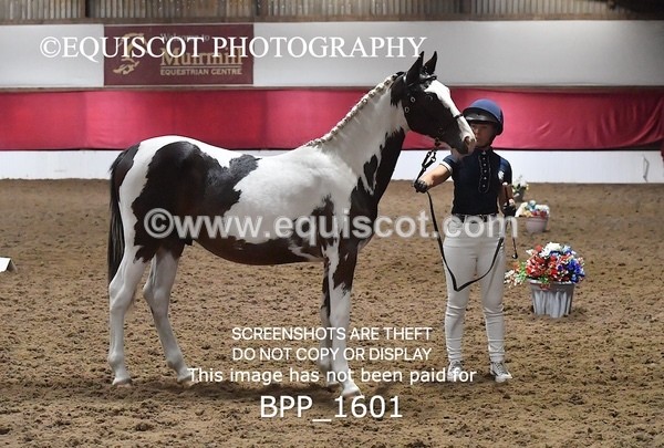 BPP_1601 - MORNING 9AM - 12PM