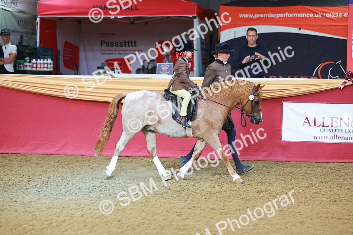 SBM_09448 - Class 102 - HOYS Veteran Qualifier - Ridden Veteran