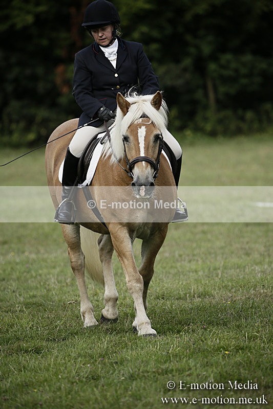 BVR090918 69 - BVRC Dressage and Show Jumping 09/09/18