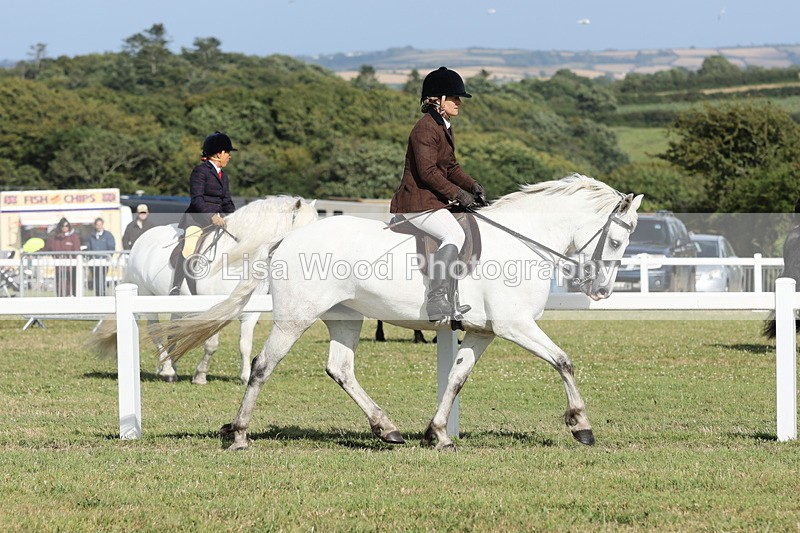 JPP_2878 - Class 20: Working Hunter 70cm