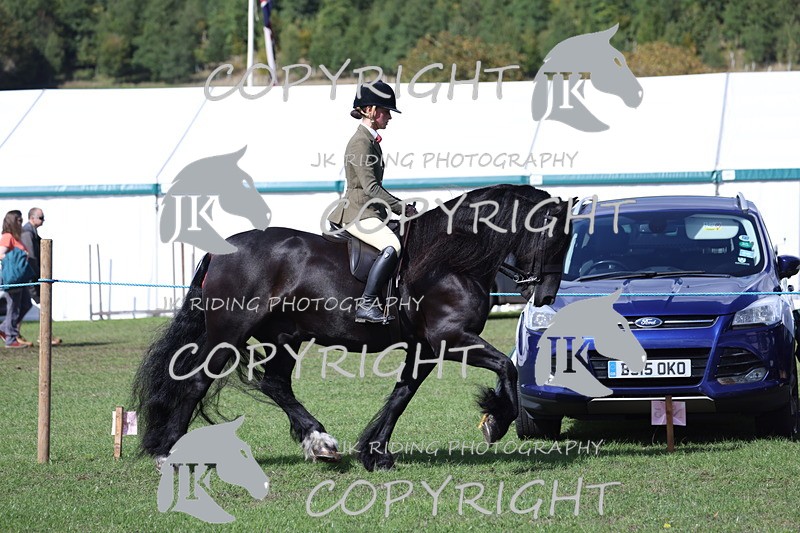 APP_3501 - Class 12 M&M ridden