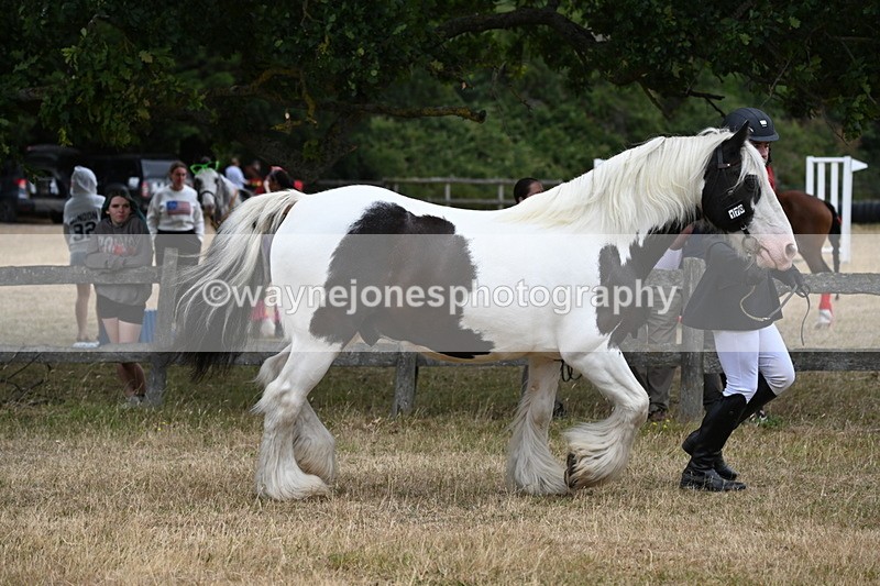 WJ6_8343 - Class 10 Coloured in Hand