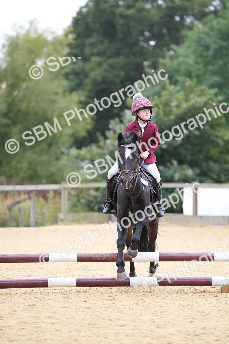 SBM_74565 - J4 - Mini Tour Junior Pony 45cm Championship