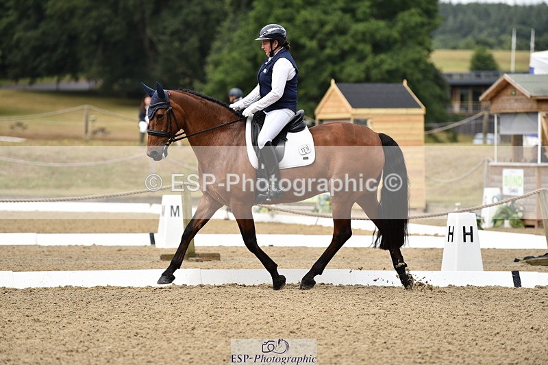 140110A-003848-10683 - 137-Debbie.Dyke-The.Trojan