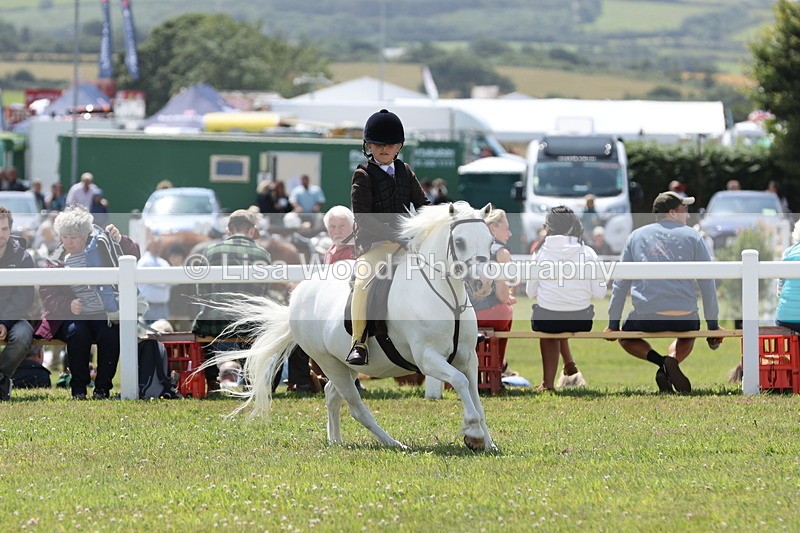 JPP_1846 - Class 18: Tiny Tots Working Hunter Pony
