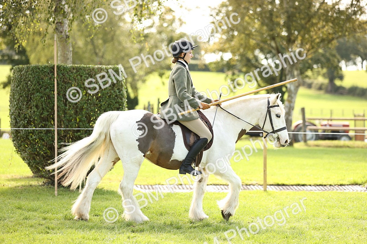 SBM_22967 - S4 - Have a Go at Working Equitation