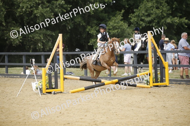 20250622-4610 - 50cm