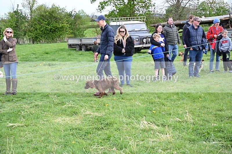 WJ6_8493 - Class 6 Best Rescue