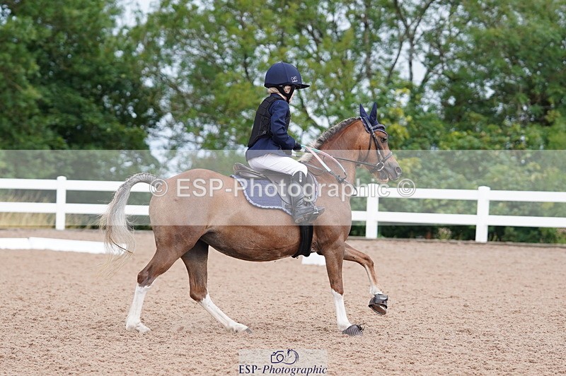 240809A-100746-00438 - Dressage Competition