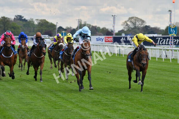 yr12052021r3-15 - Race 3 2.40pm Duke of York Clipper Logistics Stakes