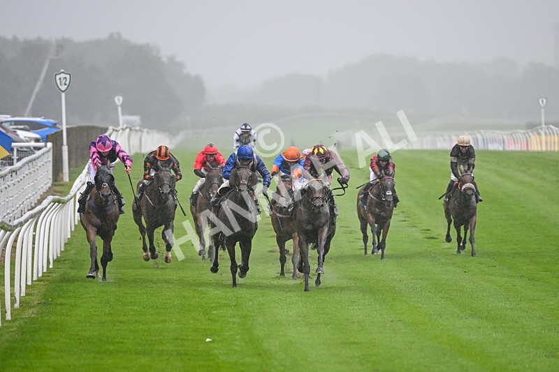 230725-Race 3-Emerald Army-0011 - Race 3