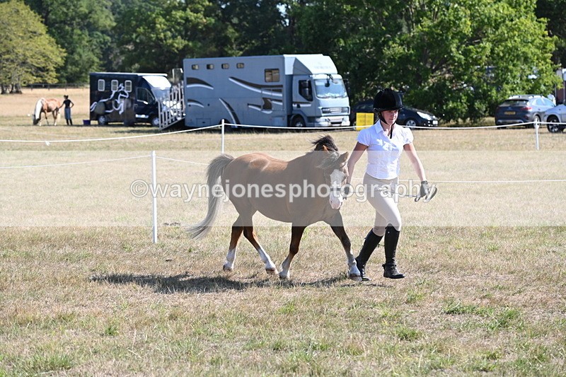 WJ6_7493 - Class 34 Judges Choice