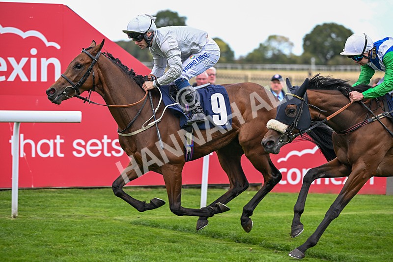 230925-Race 1-Mariotto-9704 - Race 1