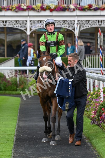 120724-Race 1-Tolstoy-5648 - Race 1 2.05pm William Hill Extra Place Races Daily Handicap