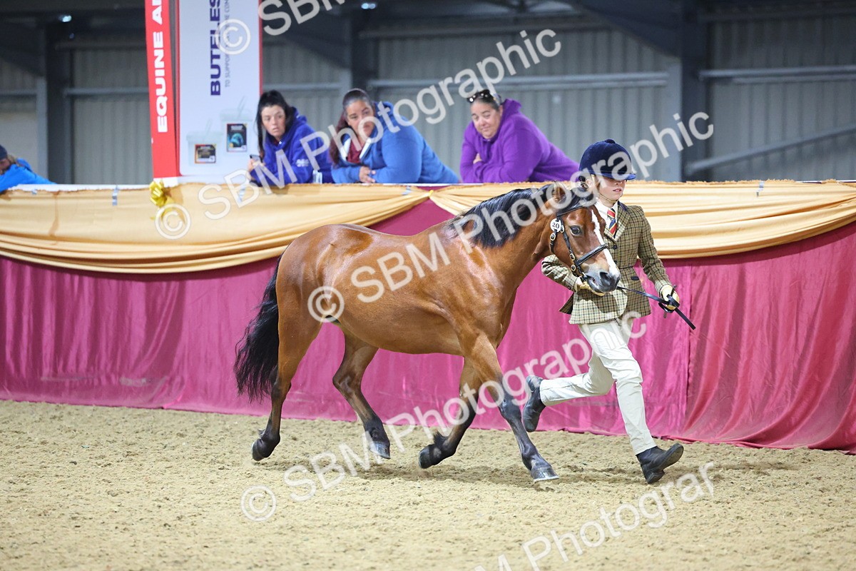 SBM_20804 - Class 902 - Supreme Final IH Veteran
