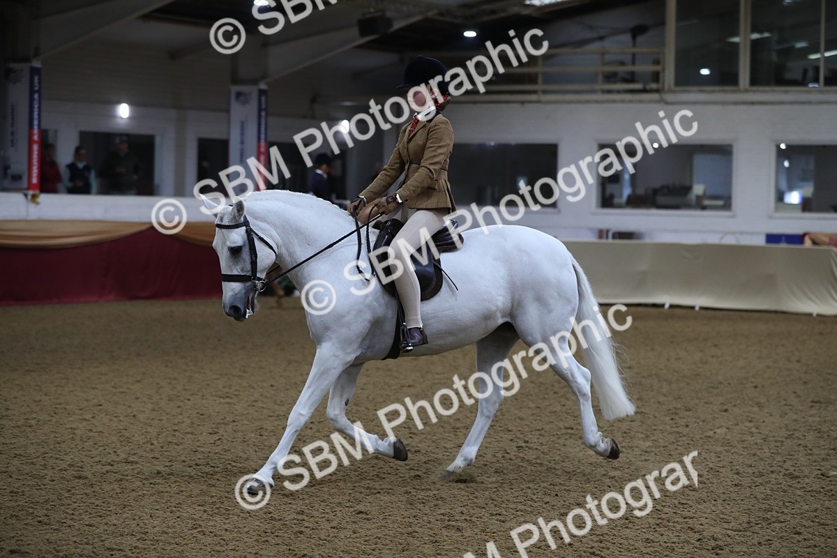 SBM_09291 - Class 101 Equitation (best rider), Junior