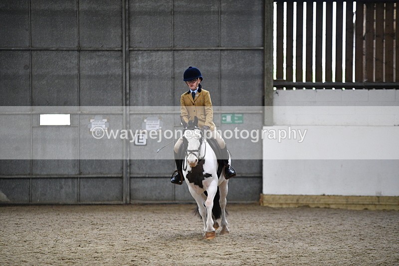 WJ5_7305 - Class 11 Ridden PC - RC Pony