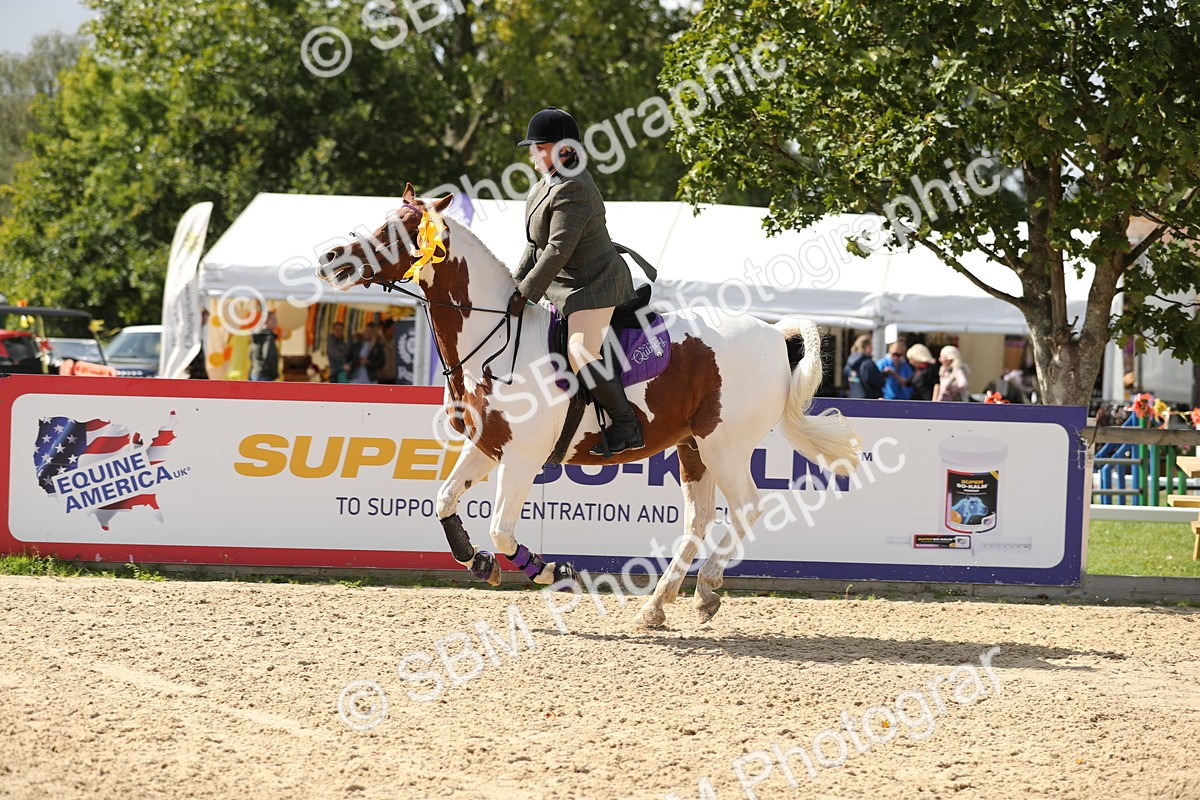 SBM_05863 - J35 - Veteran Rider 60cm