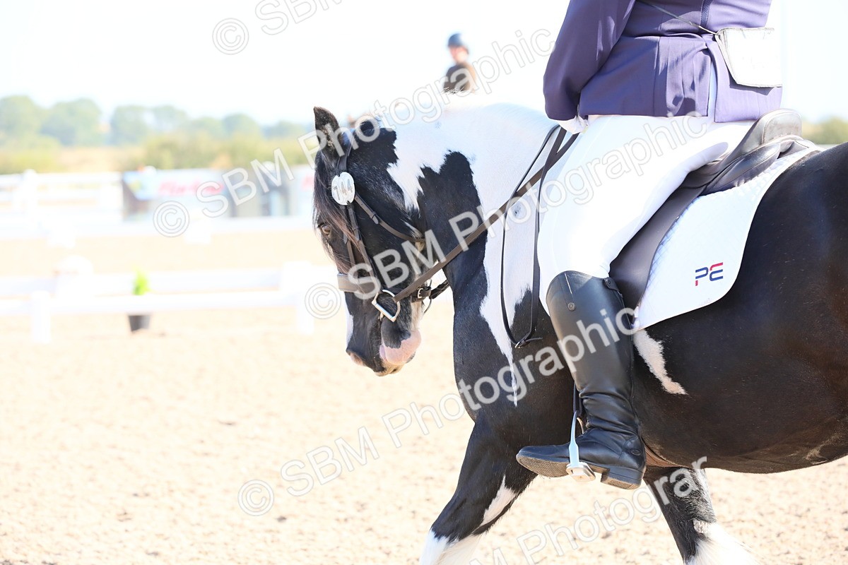 SBM_01004 - Class 30 Intro 1