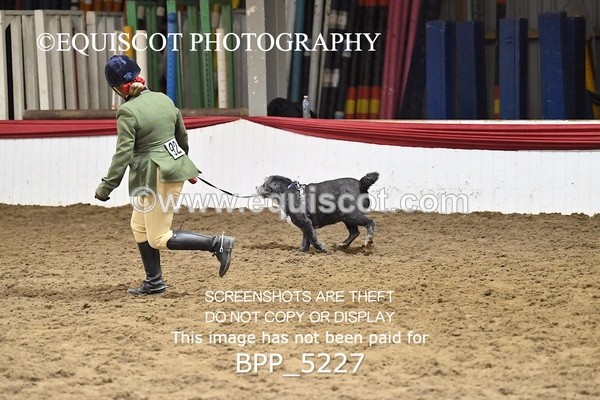 BPP_5227 - CLASS 5 HORSE AND HOUND