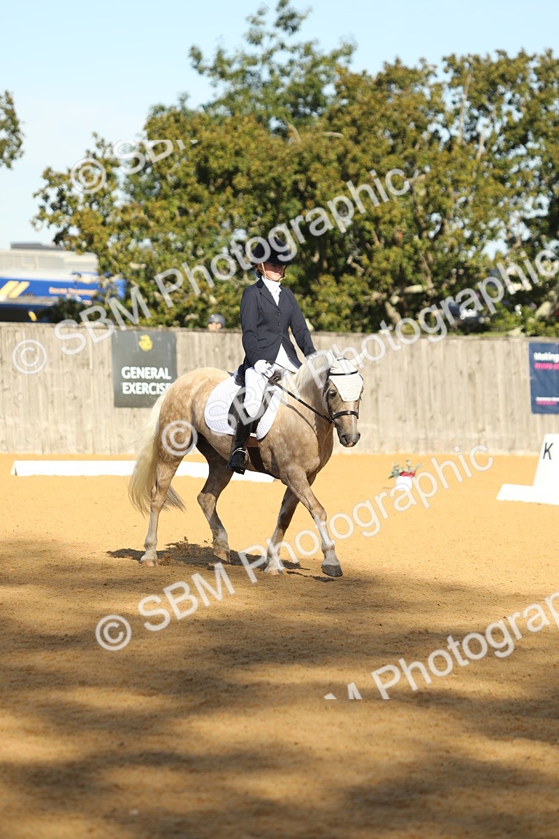SBM_37889 - D21 - Junior Championship - Intro A