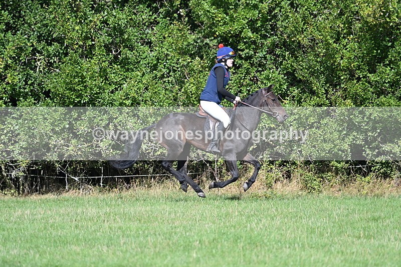 WJ7_8562 - 60cm Pairs