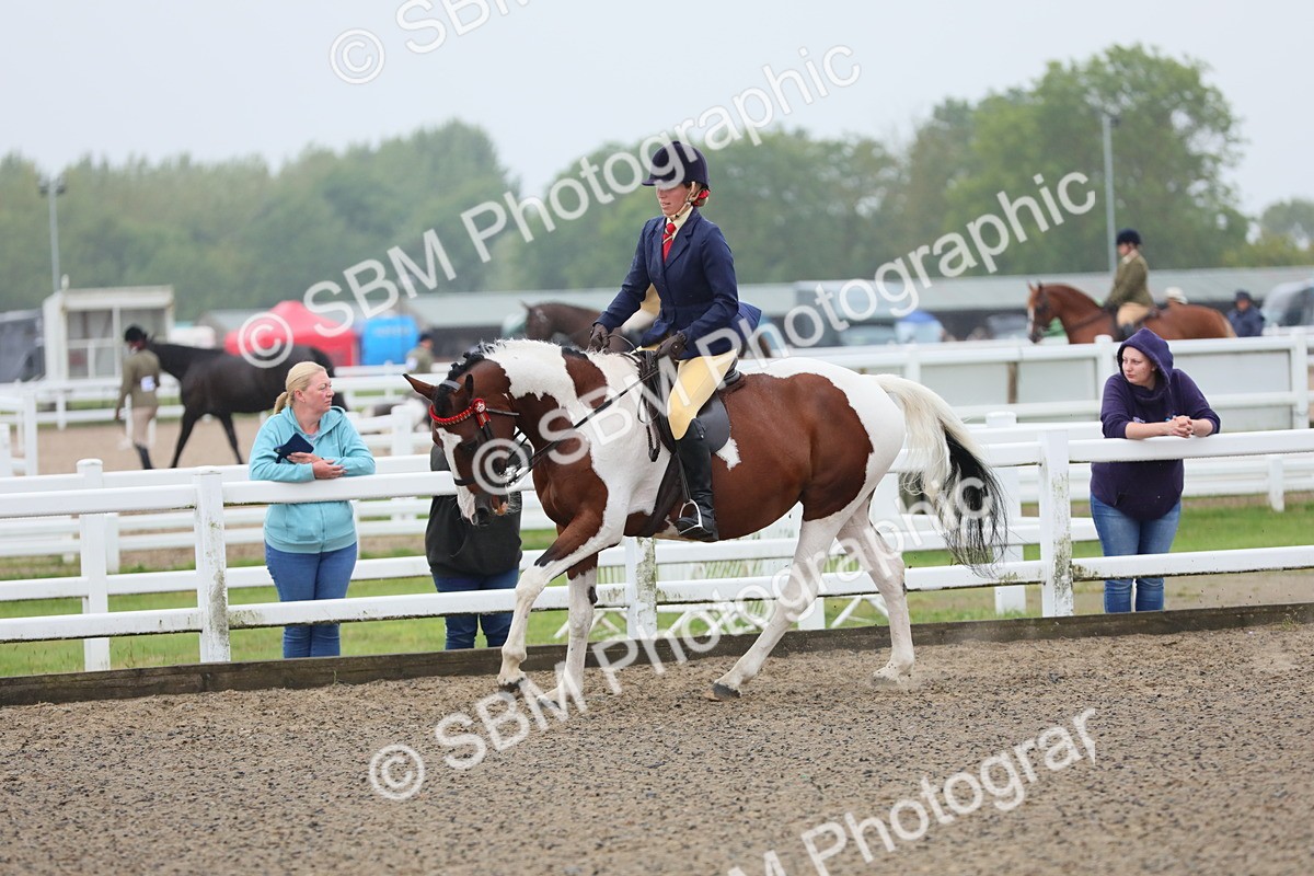 SBM_19902 - Class 801 - Ridden Veteran
