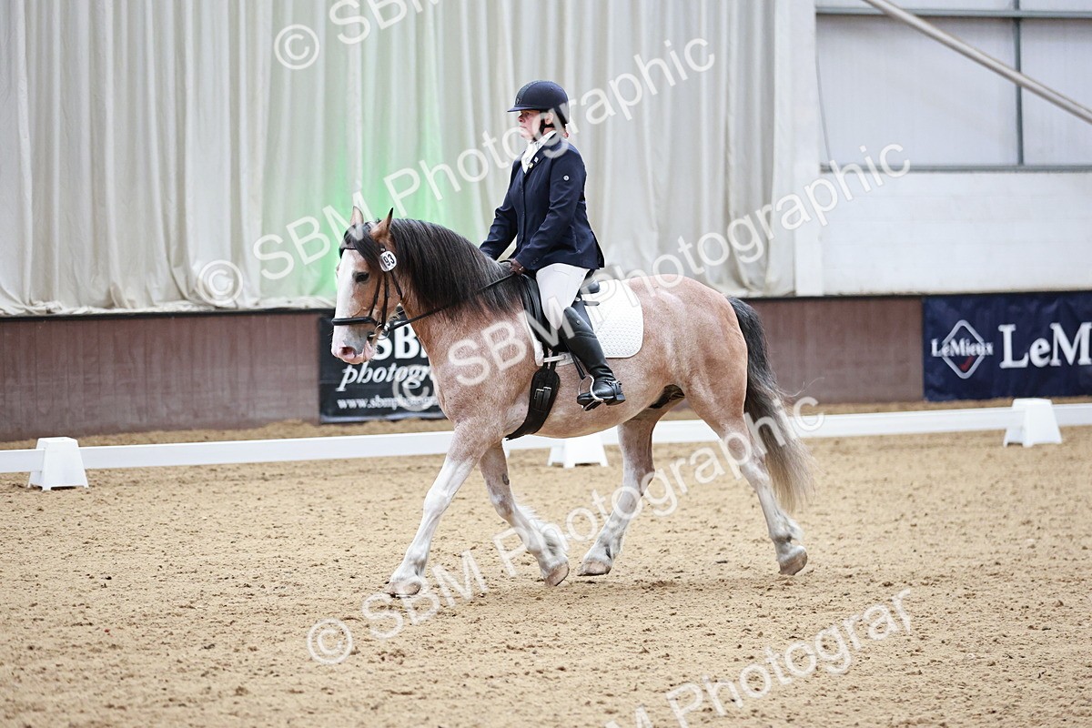 SBM_014222 - Class 7 - Ele FSM Bronze 12.12.13.08