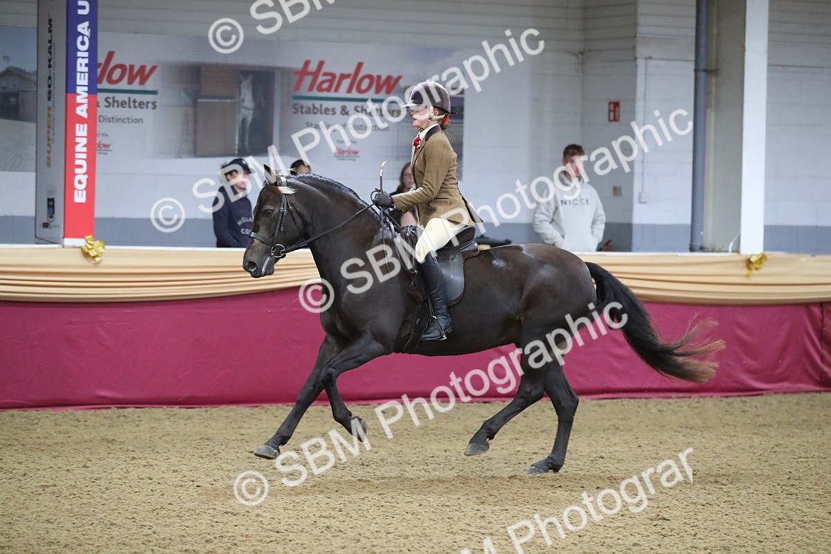 SBM_09299 - Class 101 Equitation (best rider), Junior