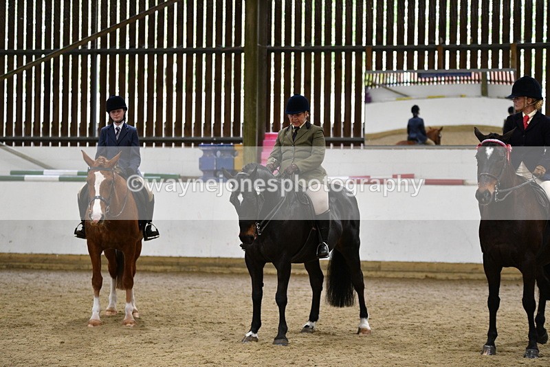 WJ5_8052 - Class 13 Ridden Part Breed