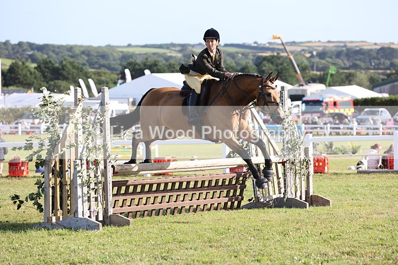 JPP_3194 - Class 21: Working Hunter 80cm