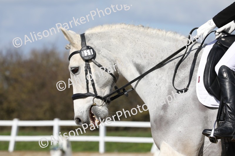 20260314-4681 - CT3 - Prelim 2