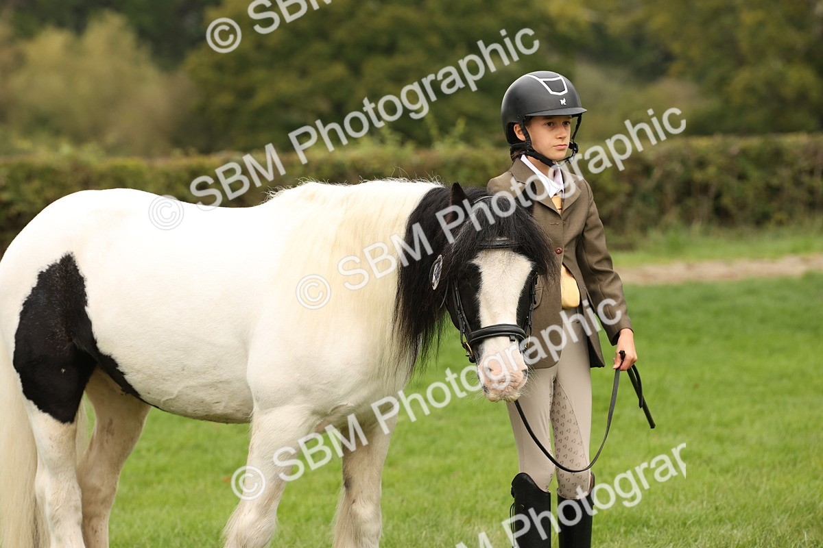 SBM_59334 - S57 - Traditional Cob In Hand