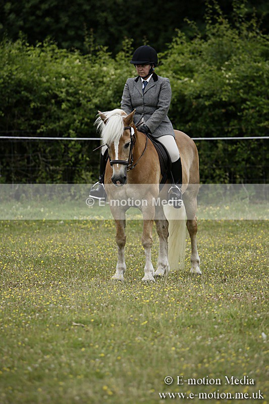 BVR160717-1366 - Ring 1 BVRC Show 16/07/17